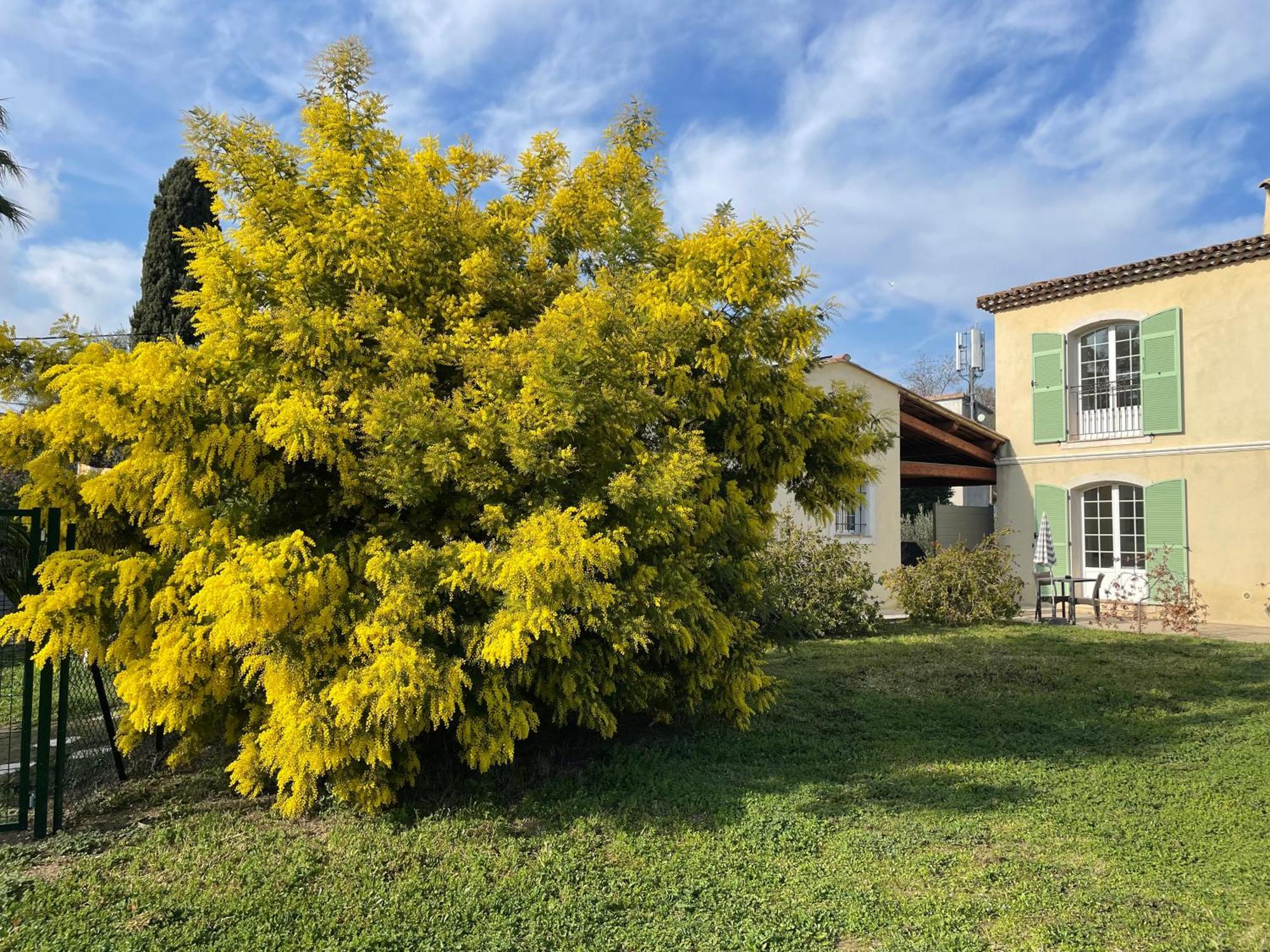 Chambre d'hôtes La Bastide des Eucalyptus Antibes Exterior foto