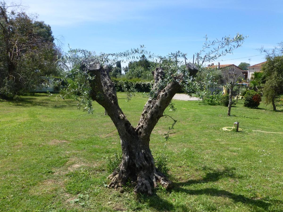 Chambre d'hôtes La Bastide des Eucalyptus Antibes Exterior foto